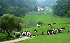 Flying Cow Ranch